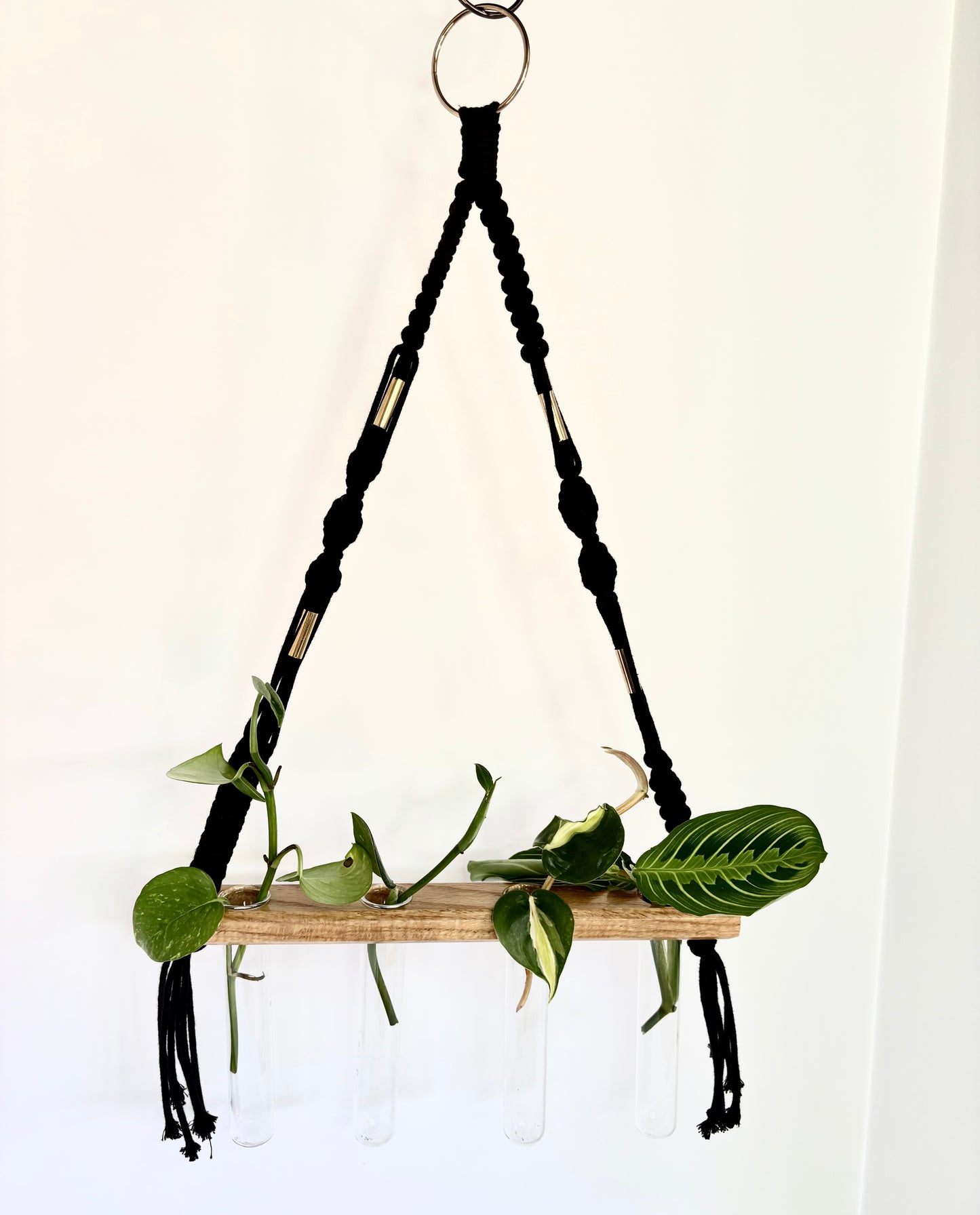 Handmade Macrame Propagation Station - Black