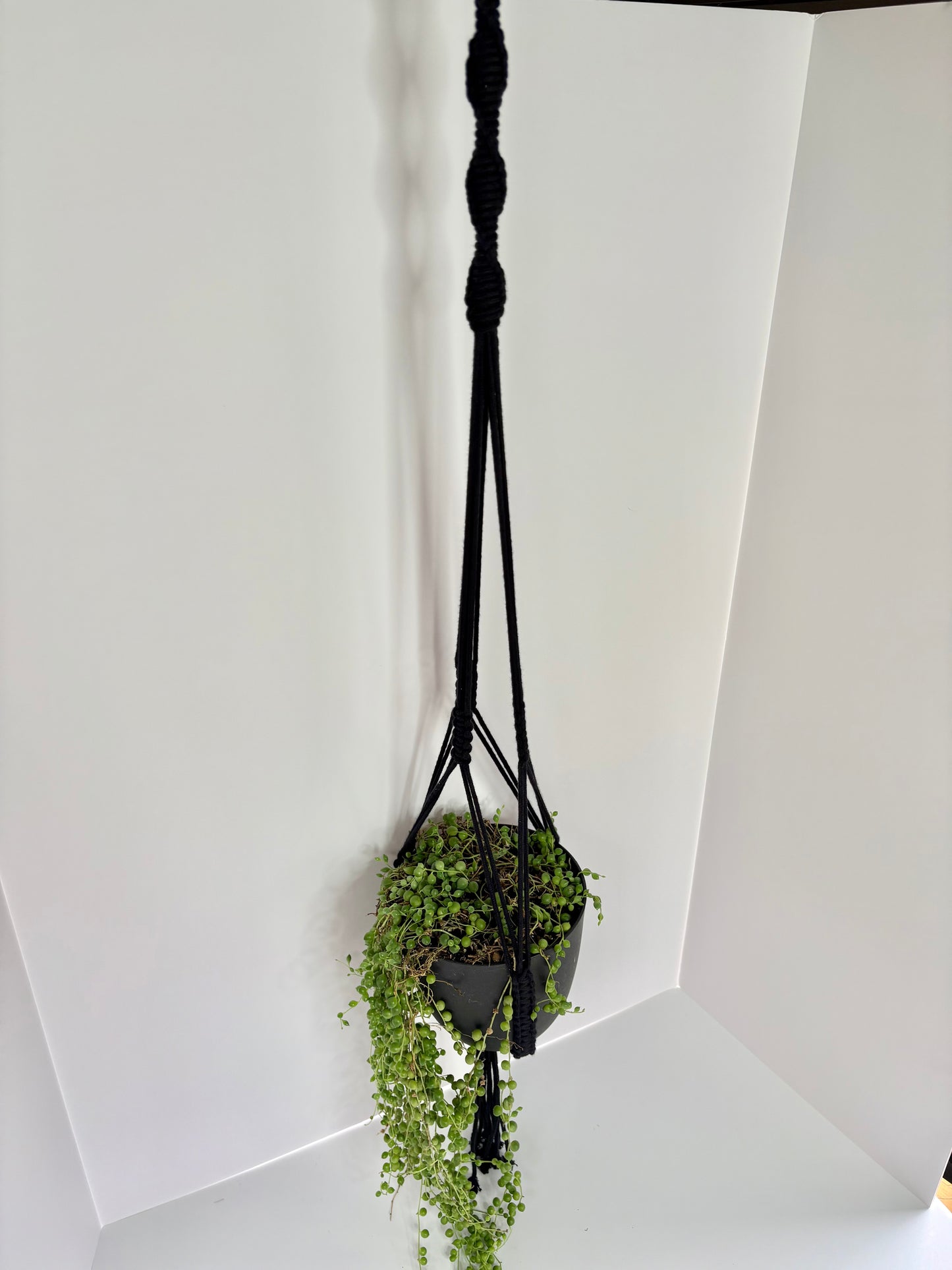 Handmade Open-Bottom Macrame Plant Hanger - Black (Perfect for String of Pearls)