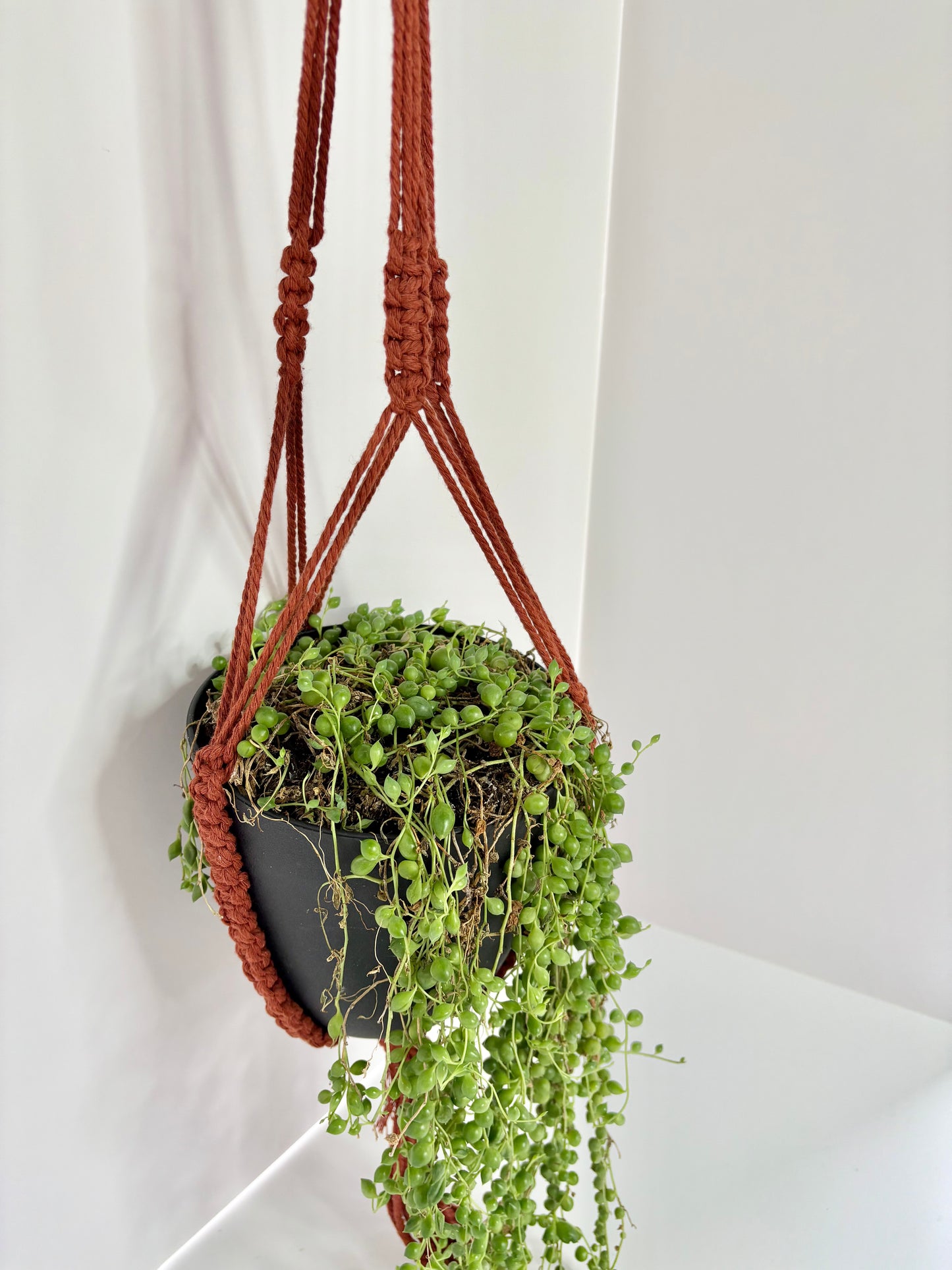 Handmade Open-Bottom Macrame Plant Hanger - Rust (Perfect for String of Pearls)