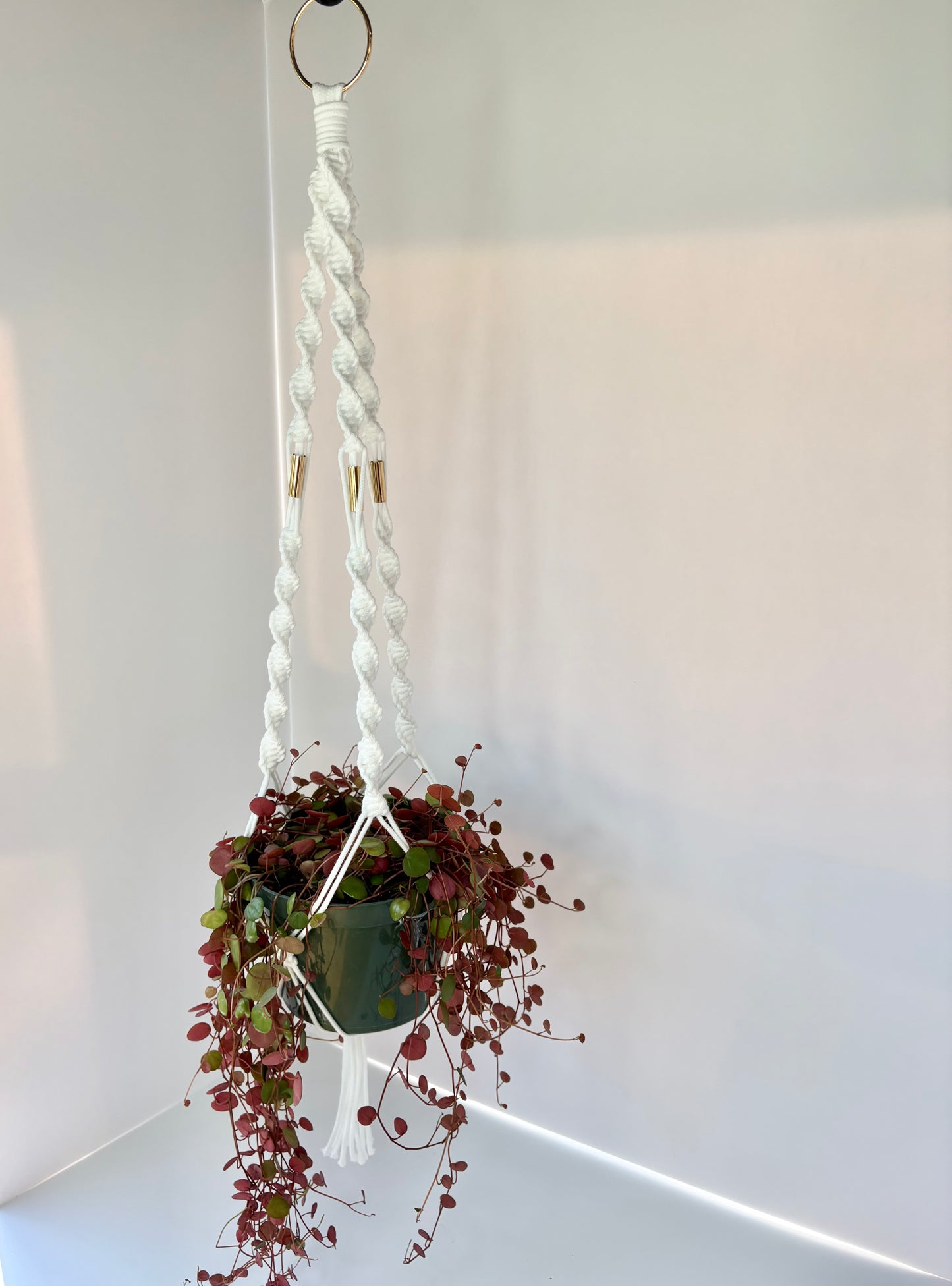 Handmade Macrame Plant Hanger - White with Brass Accents