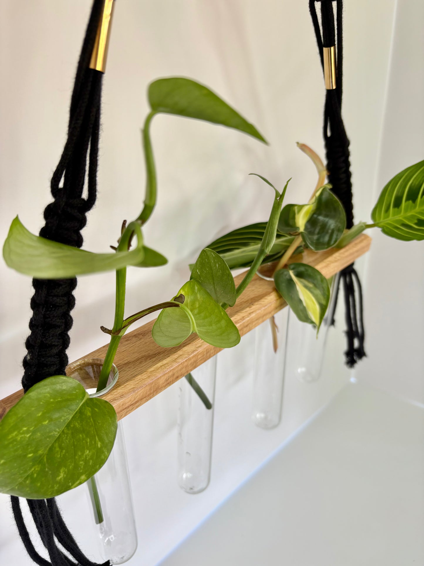 Handmade Macrame Propagation Station - Black