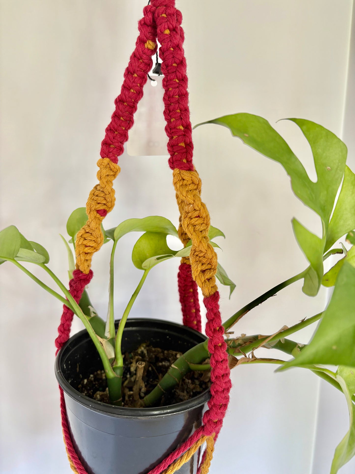 Handmade Macrame Plant Hanger - Iowa State Cyclones Colors (Red & Mustard)