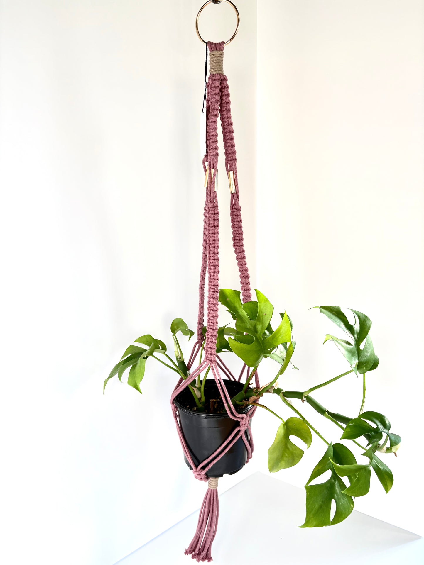 Handmade Macrame Plant Hanger - Mauve