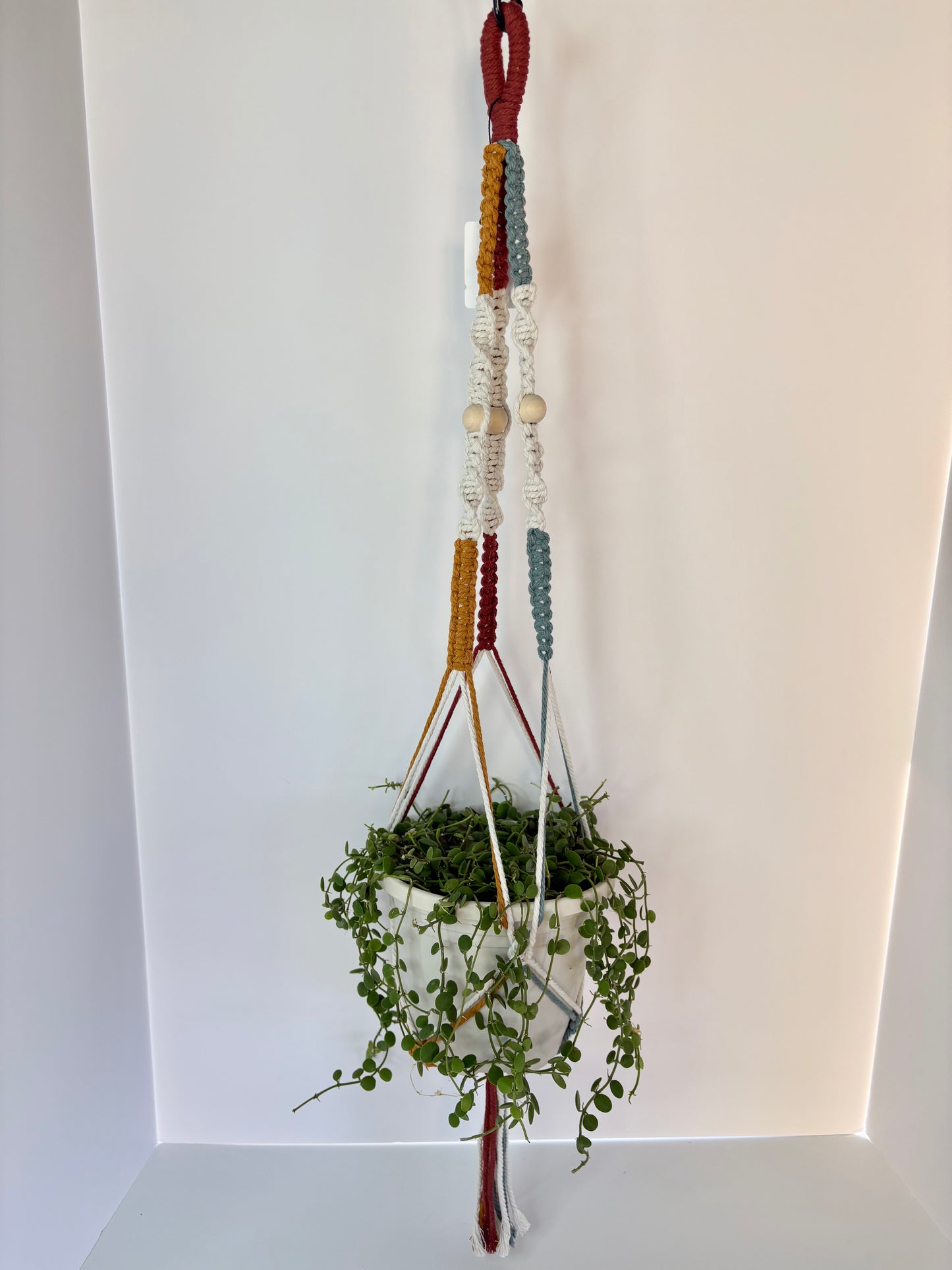 Handmade Macrame Plant Hanger - Multi-Color (Rust, Blue & Mustard)
