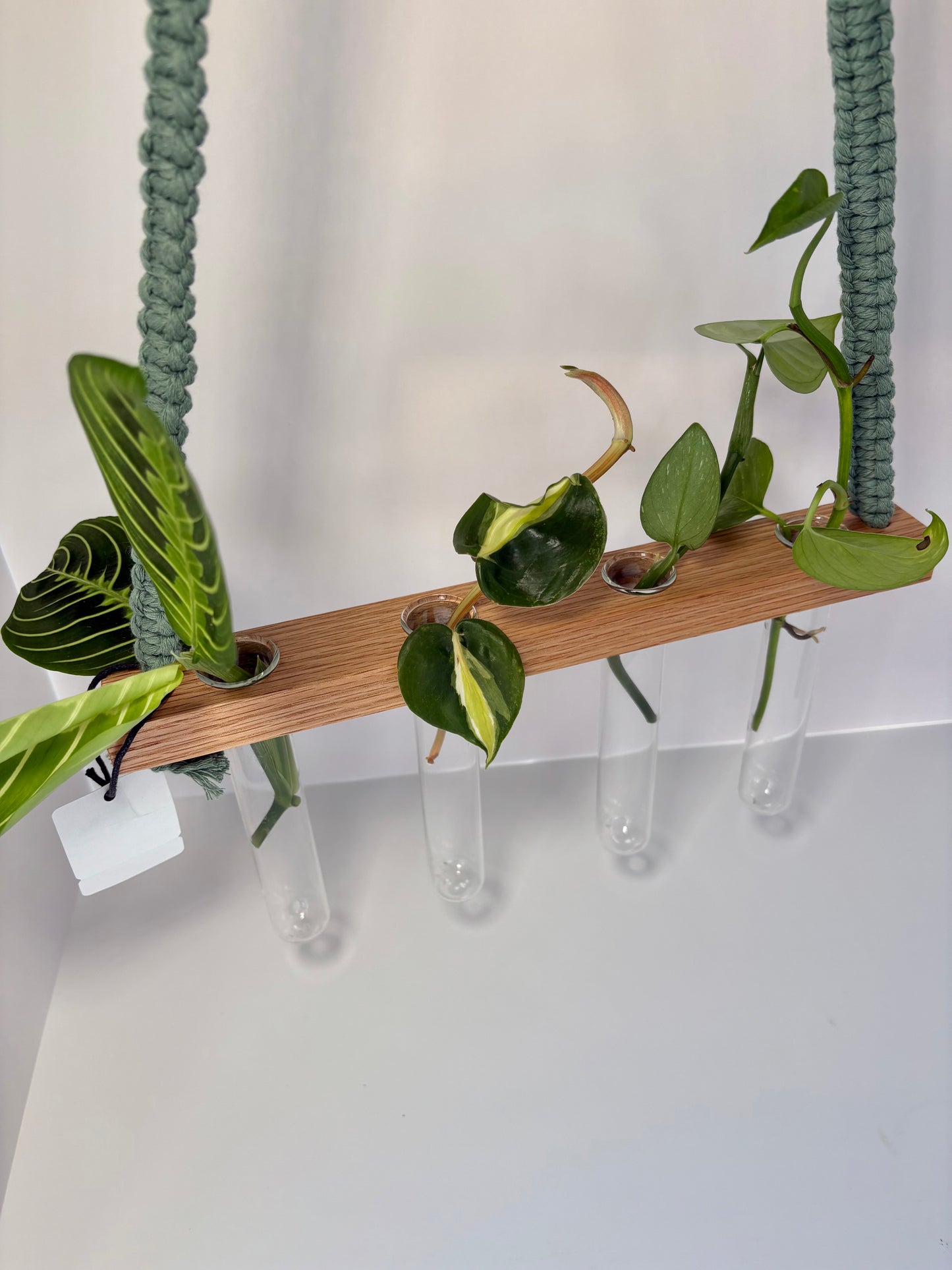 Handmade Macrame Propagation Station - Sage