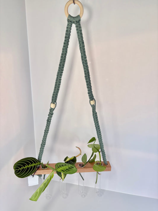 Handmade Macrame Propagation Station - Sage