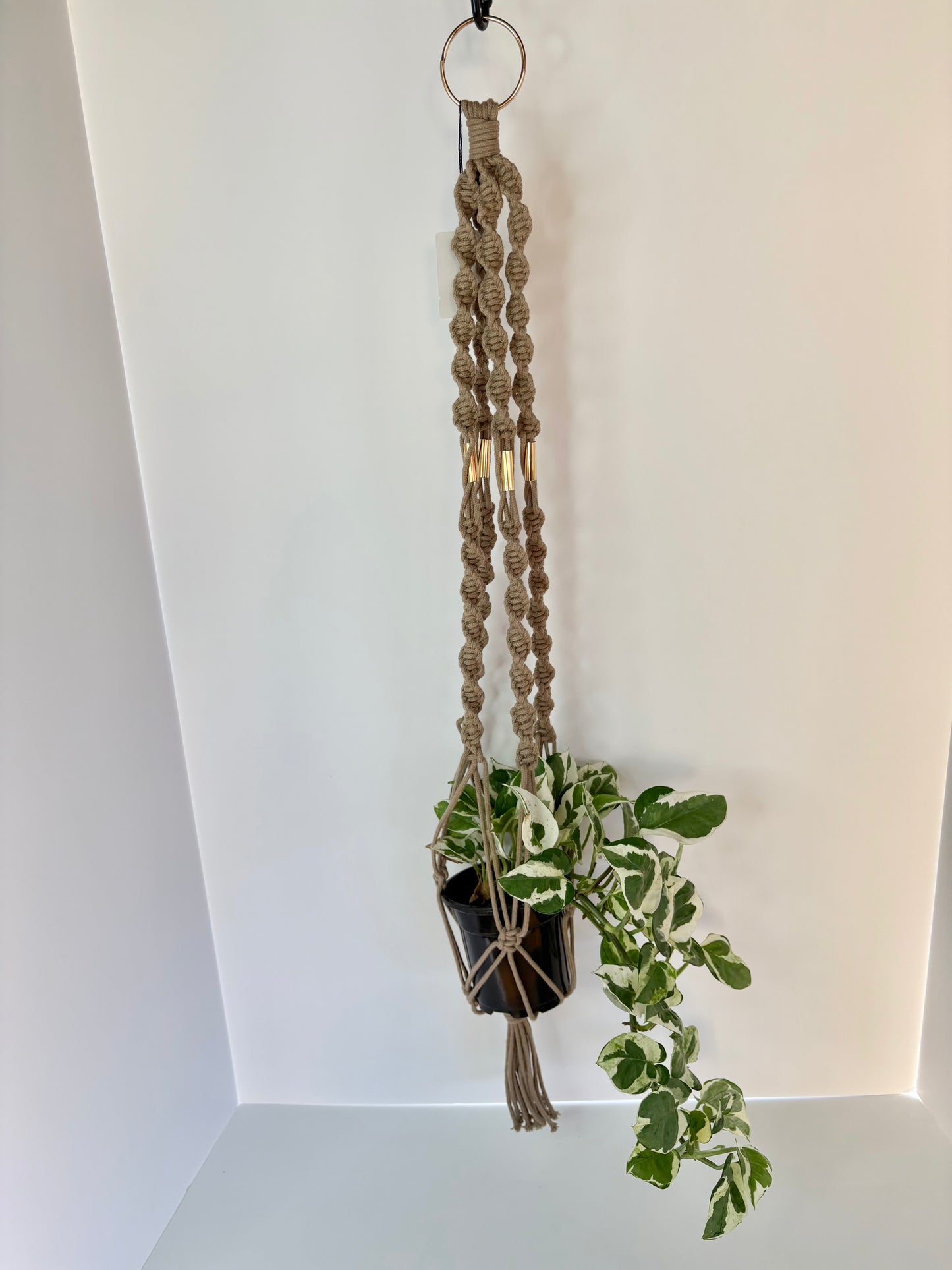 Handmade Macrame Plant Hanger - Beige with Brass Accents