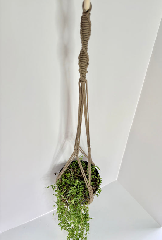 Handmade Open-Bottom Macrame Plant Hanger - Beige (Perfect for String of Pearls)