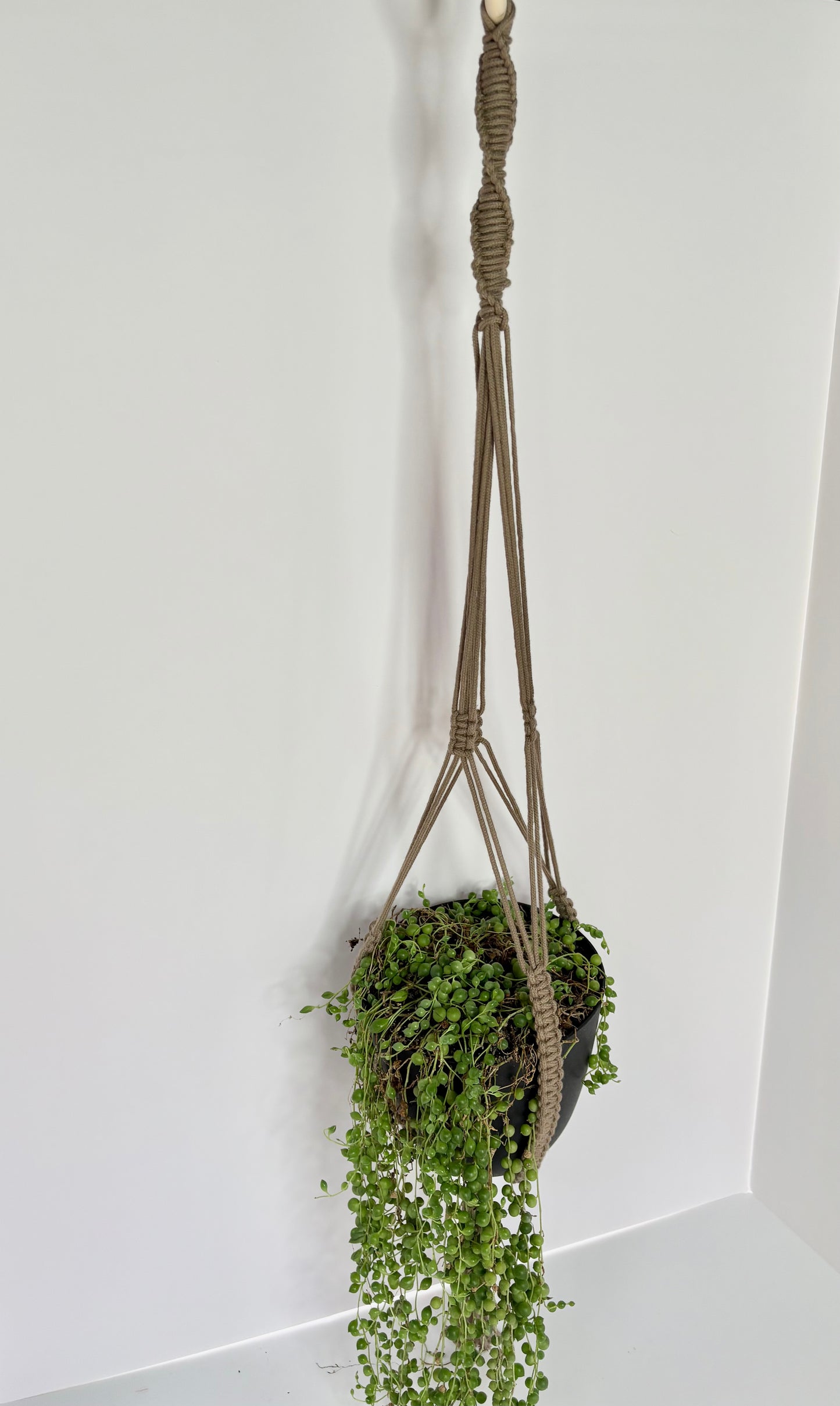 Handmade Open-Bottom Macrame Plant Hanger - Beige (Perfect for String of Pearls)