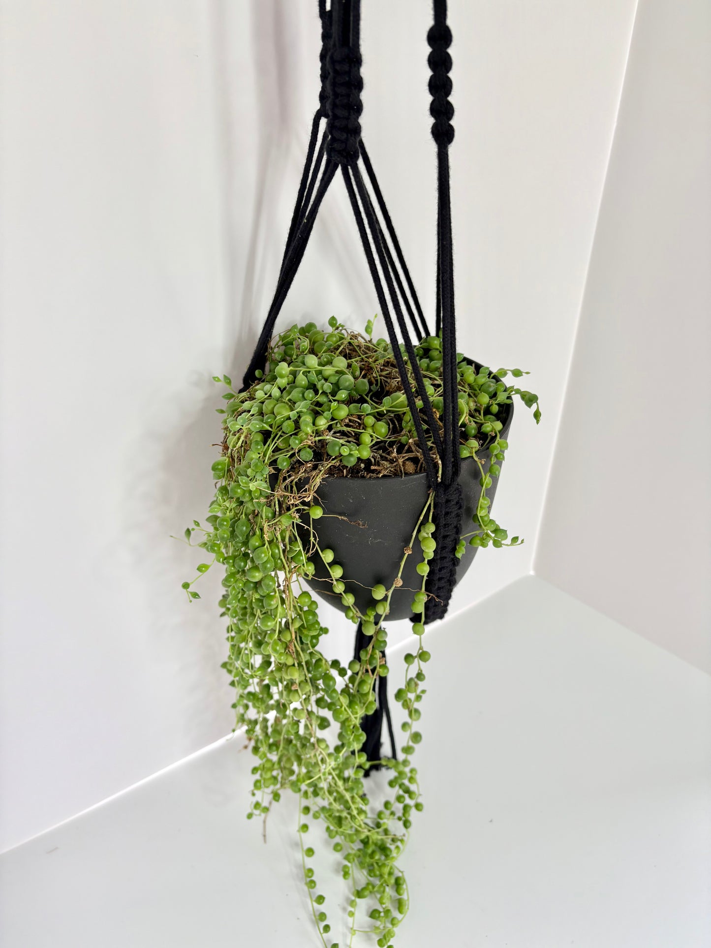 Handmade Open-Bottom Macrame Plant Hanger - Black (Perfect for String of Pearls)