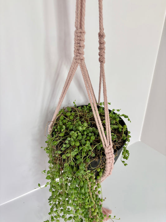 Handmade Open-Bottom Macrame Plant Hanger - Blush Pink (Perfect for String of Pearls)