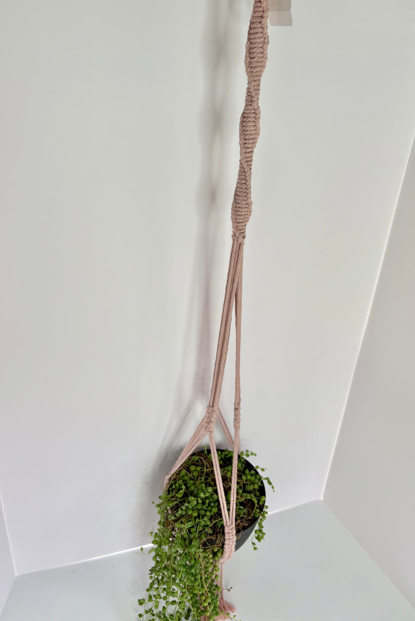 Handmade Open-Bottom Macrame Plant Hanger - Blush Pink (Perfect for String of Pearls)
