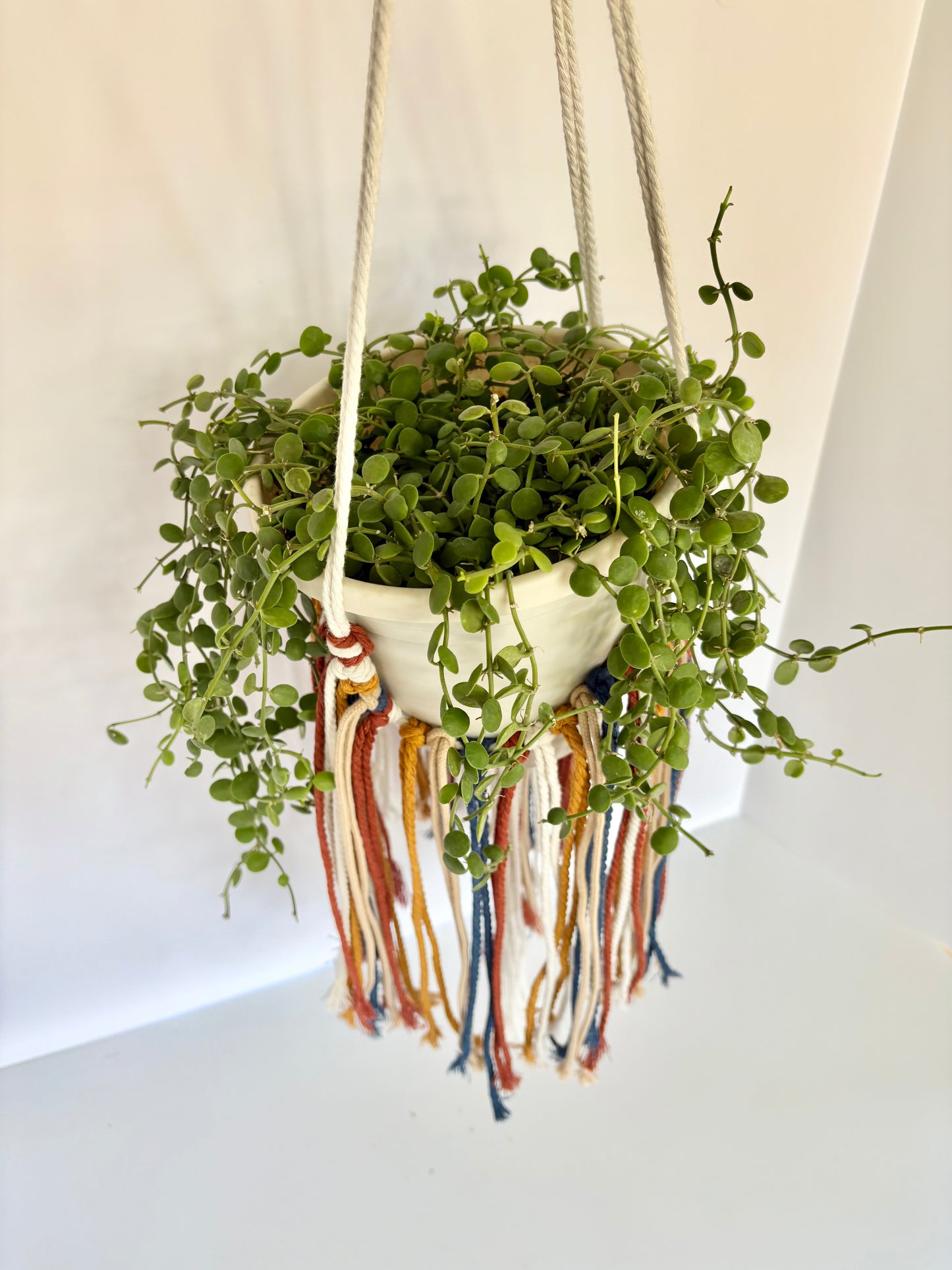 Handmade Boho Fringe Macrame Plant Hanger - White, Navy, Mustard & Rust