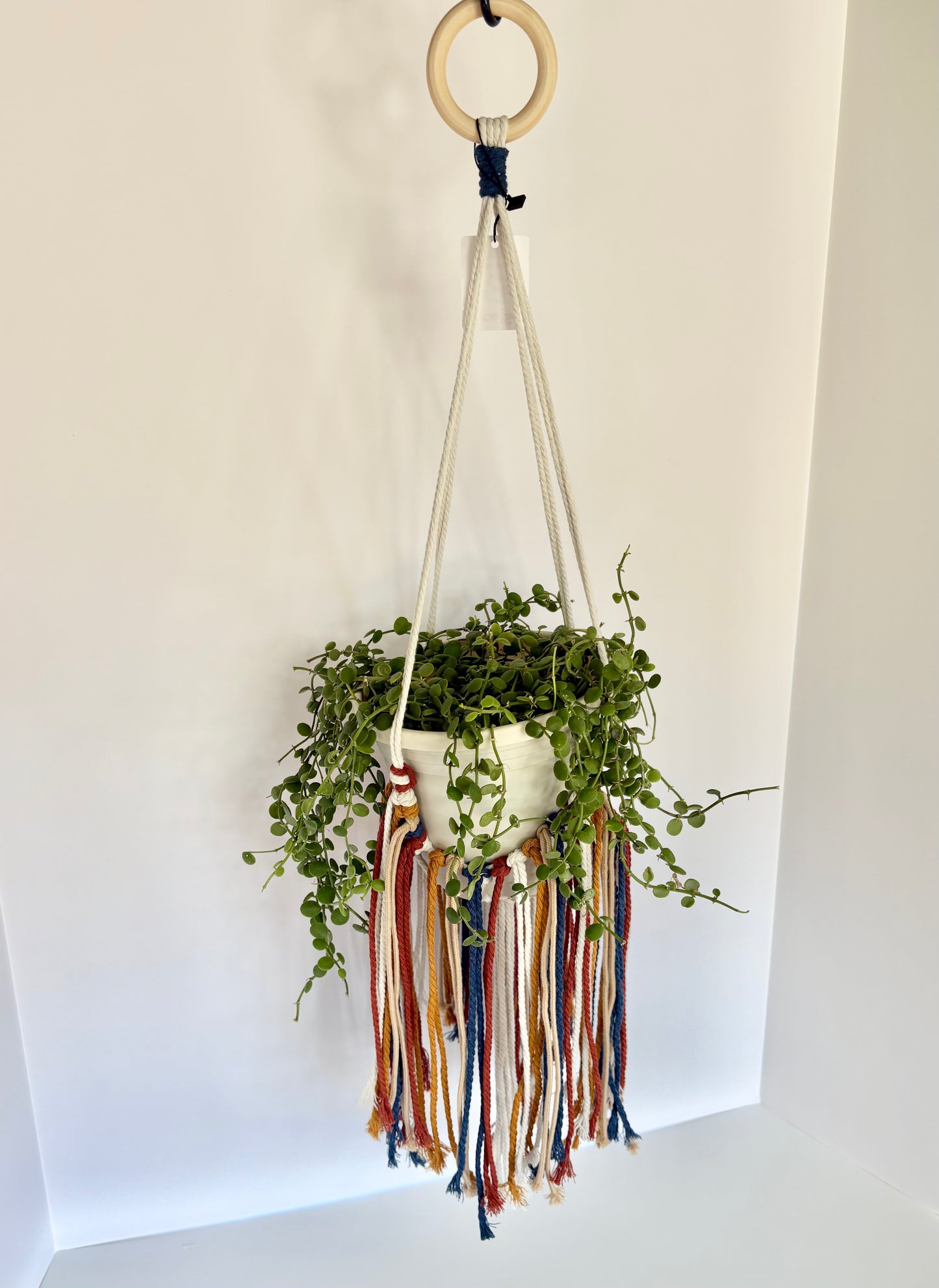 Handmade Boho Fringe Macrame Plant Hanger - White, Navy, Mustard & Rust