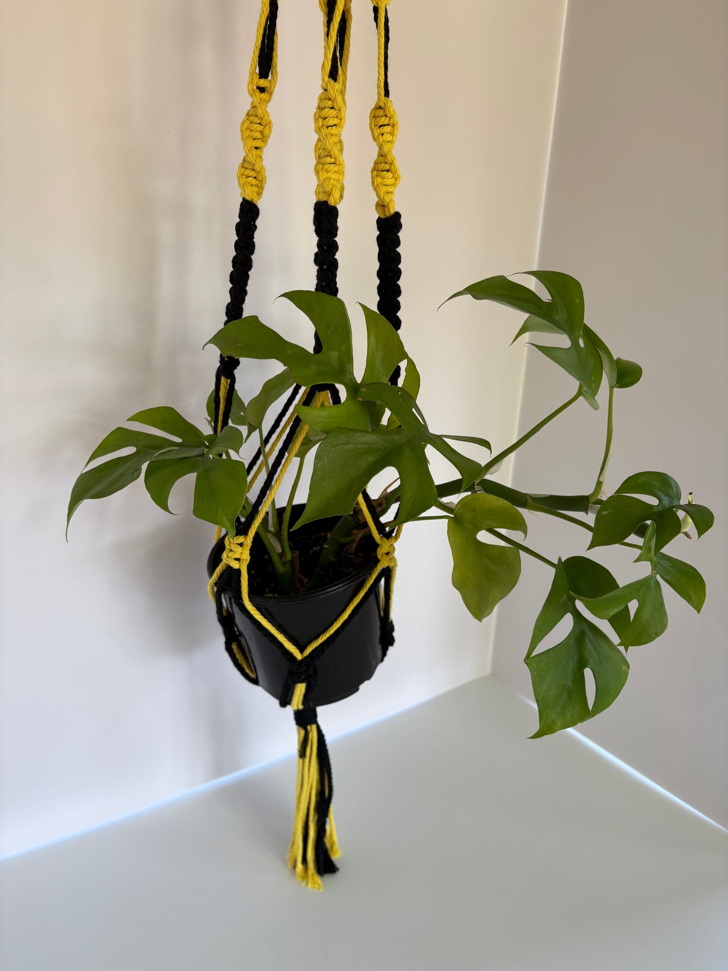 Handmade Macrame Plant Hanger - Iowa Hawkeyes Colors (Black & Gold)