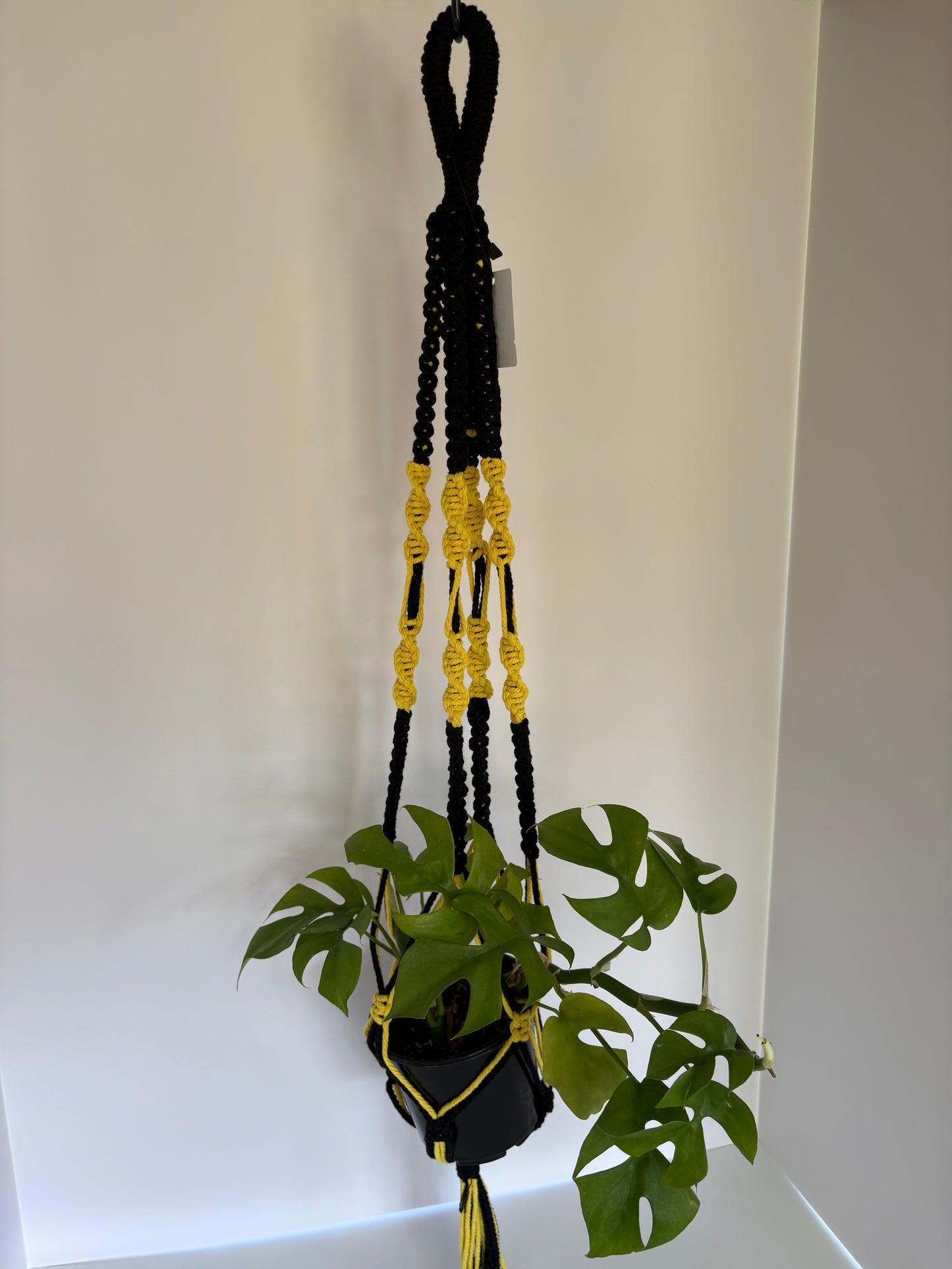 Handmade Macrame Plant Hanger - Iowa Hawkeyes Colors (Black & Gold)