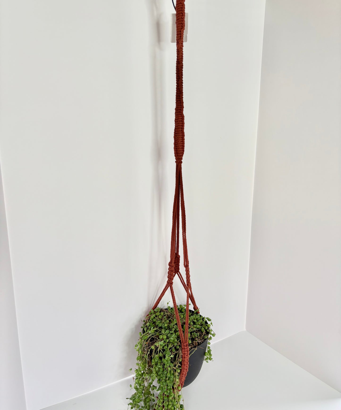 Handmade Open-Bottom Macrame Plant Hanger - Rust (Perfect for String of Pearls)