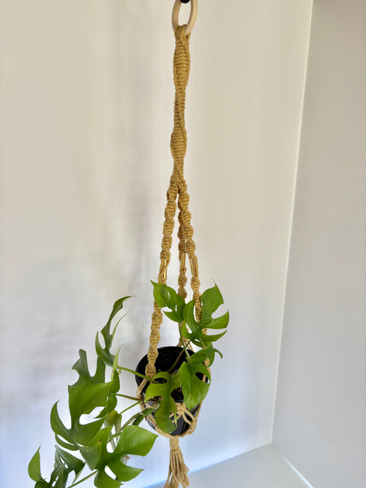 Handmade Macrame Plant Hanger - Mustard with Brass Accents & Spiral Knots