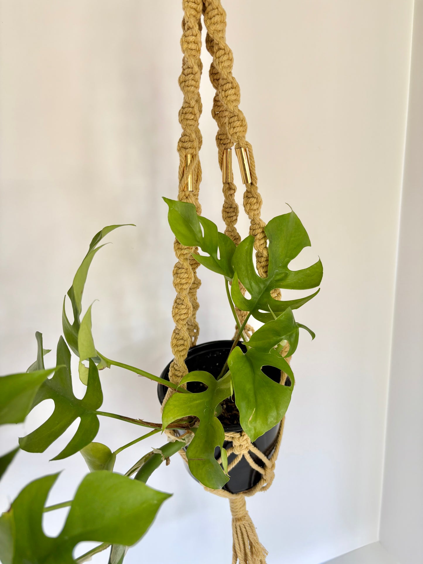 Handmade Macrame Plant Hanger - Mustard with Brass Accents & Spiral Knots