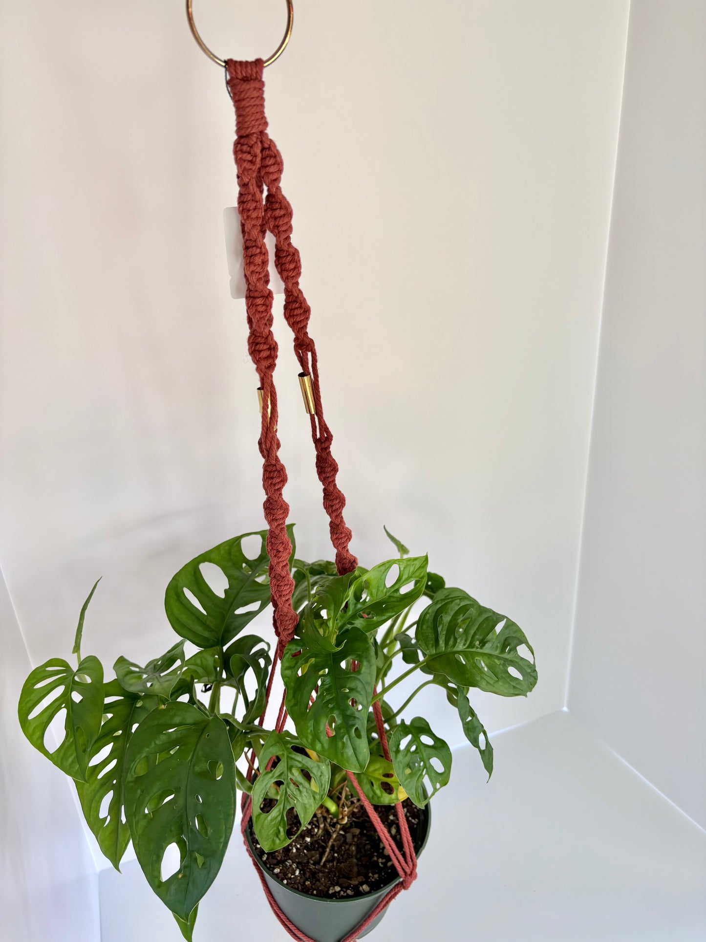 Handmade Macrame Plant Hanger - Rust