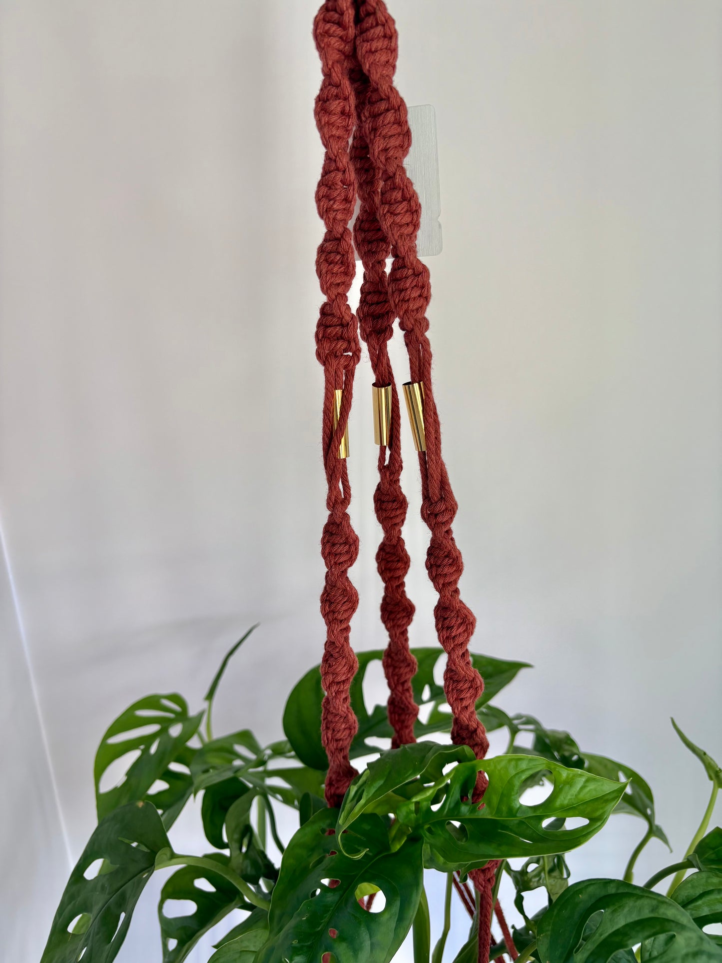 Handmade Macrame Plant Hanger - Rust