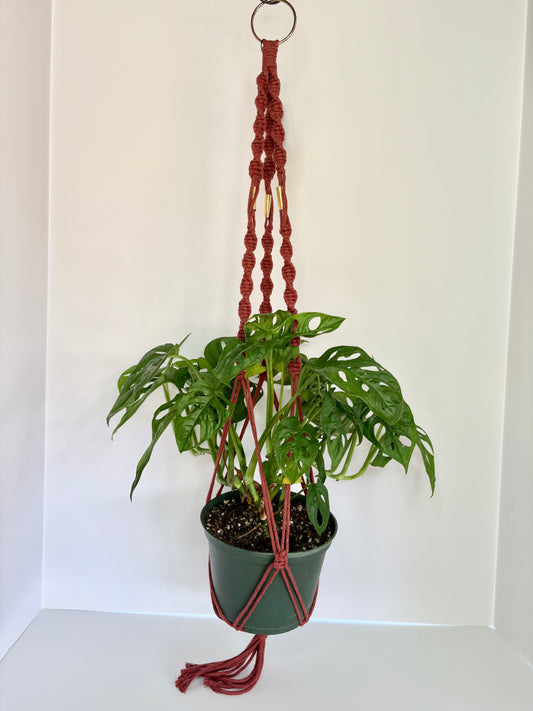 Handmade Macrame Plant Hanger - Rust