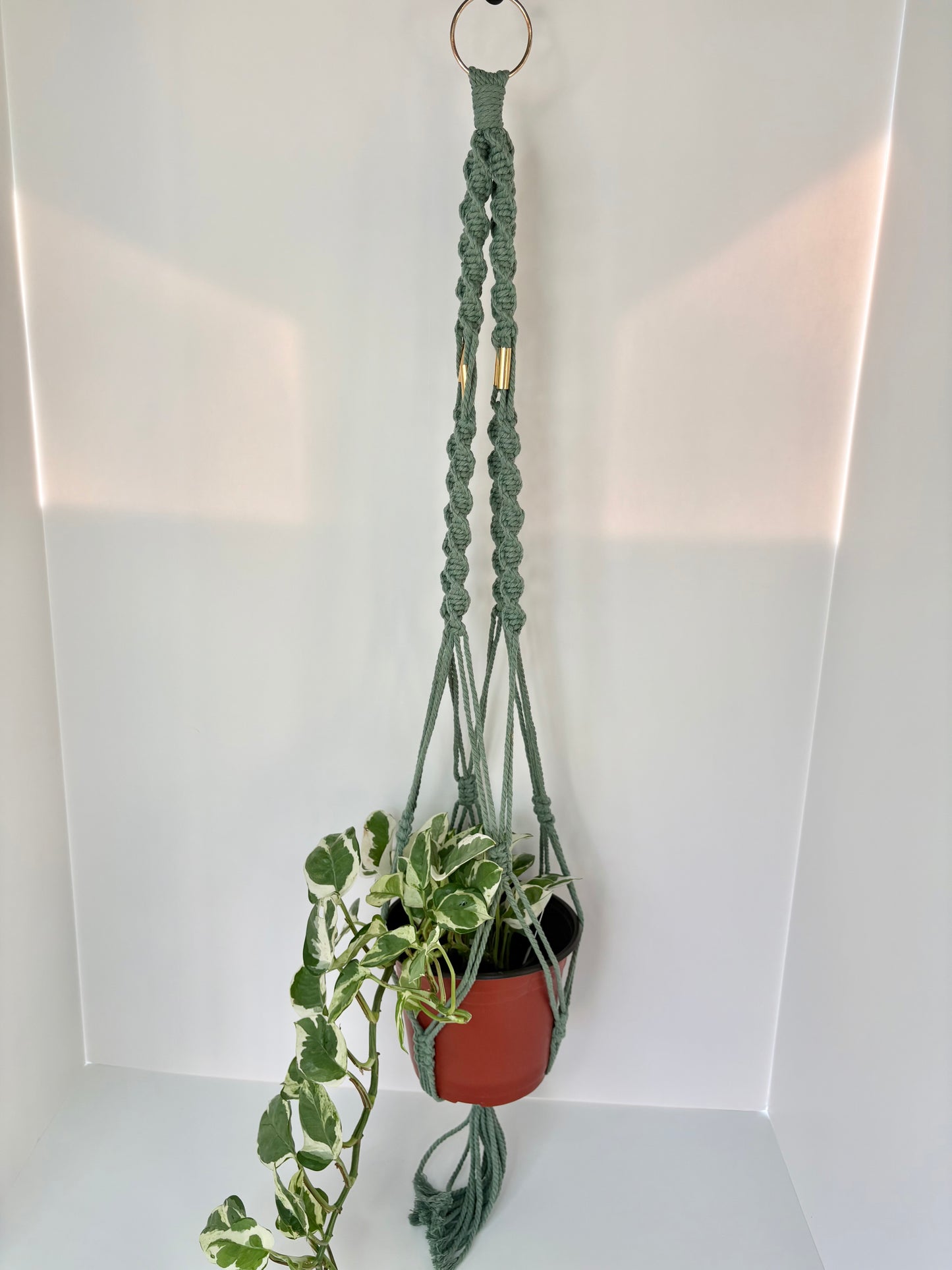 Handmade Macrame Plant Hanger - Sage with Brass Accents