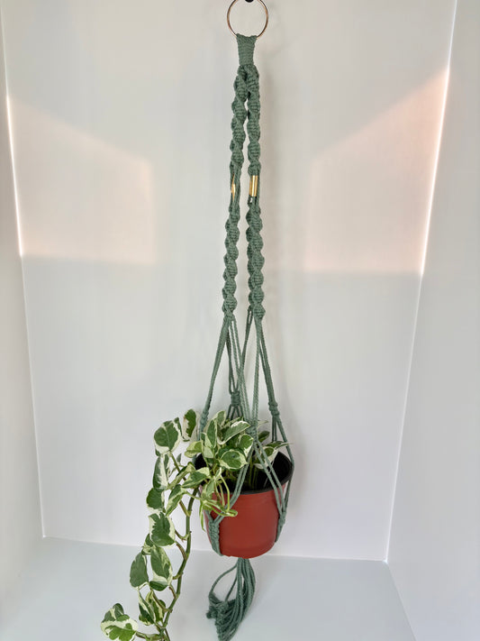 Handmade Macrame Plant Hanger - Sage with Brass Accents