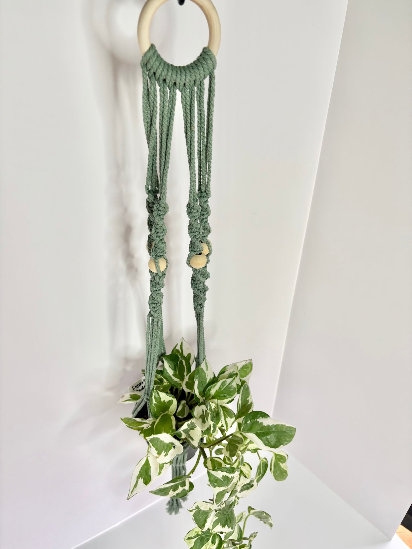 Handmade Macrame Plant Hanger - Sage Spiral Knot with Wooden Ring & Beads