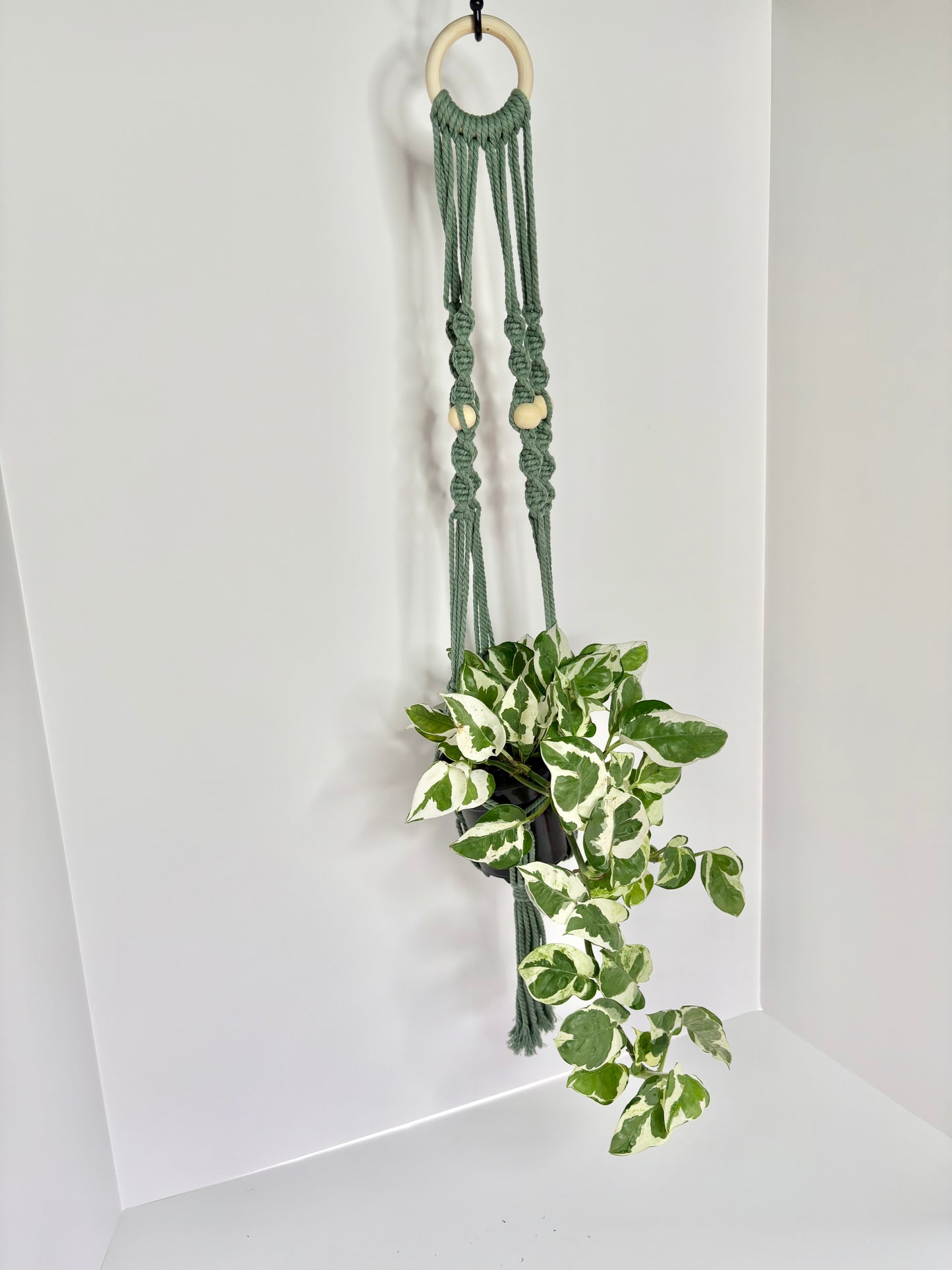 Handmade Macrame Plant Hanger - Sage Spiral Knot with Wooden Ring & Beads