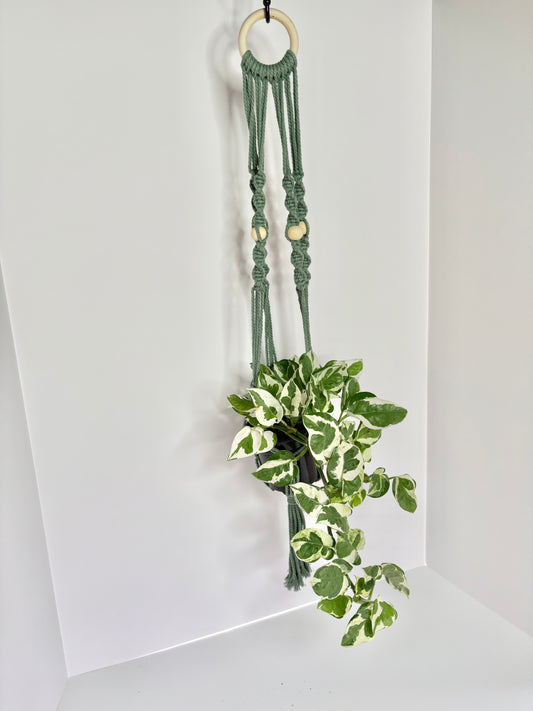 Handmade Macrame Plant Hanger - Sage Spiral Knot with Wooden Ring & Beads