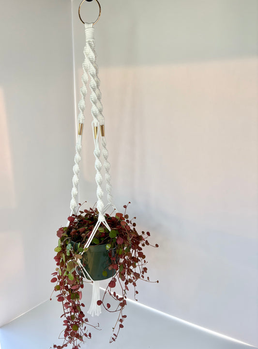 Handmade Macrame Plant Hanger - White with Brass Accents