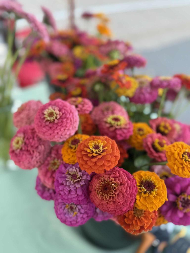 Monthly Flower Subscription - May to September (5 Bouquets)